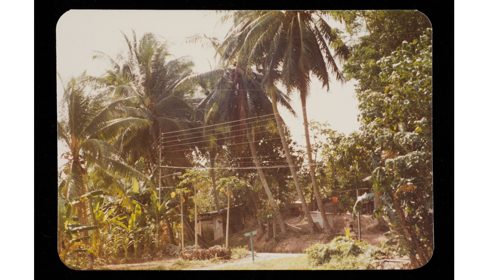 <strong> Photograph taken at Pasir Panjang<br>
</strong><br>
2020-00501-018<br>
1970s<br>
Singapore<br>
Collection of the National Museum of Singapore<br>
<p style="color: #000000; margin: 0in 0in 8pt;"><span style="background: white; letter-spacing: 0.4pt;">To see other images of villages in the NC, click </span><span style="background: white; letter-spacing: 0.4pt; color: #0070c0;">here</span><span style="background: white; letter-spacing: 0.4pt;">.</span>